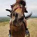 Profile Picture of Markellos Fragkos (@markellosfragko) on Pinterest