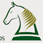 Profile Picture of Association of Irish Riding Clubs (@@aircireland) on Tiktok