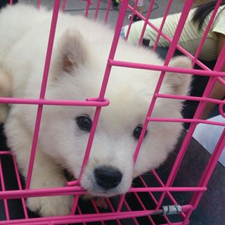 Profile Picture of Guoying Chen (@guoying.chen.3) on Facebook