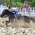 Profile Picture of Brayon Diniz (@brayondiniz) on Instagram