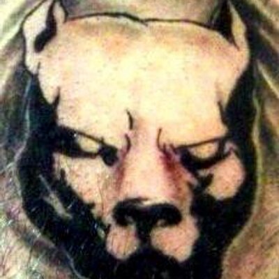 Profile Picture of Mike Fonk (@fonk_mike) on Twitter