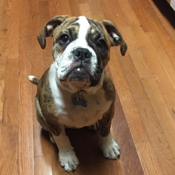 Profile Picture of Melissa Wessell (@melissamaex5) on Poshmark