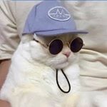 Profile Picture of Daniel Bosquez 👨🏻‍💻 (@danielbossquez) on Instagram