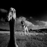 Profile Picture of Michael Davis (@rodionovaseznina) on Instagram