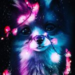 Profile Picture of savannah cordelia wright (@savannahcordeliawri) on Instagram