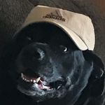 Profile Picture of Kyle Winters (@kyle__winters) on Instagram