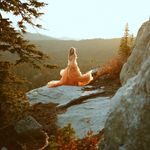 Profile Picture of Lori Carpenter (@copper_ridge_photography) on Instagram