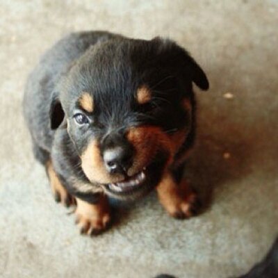 Profile Picture of Eric Shultz (@DjKedraa) on Twitter