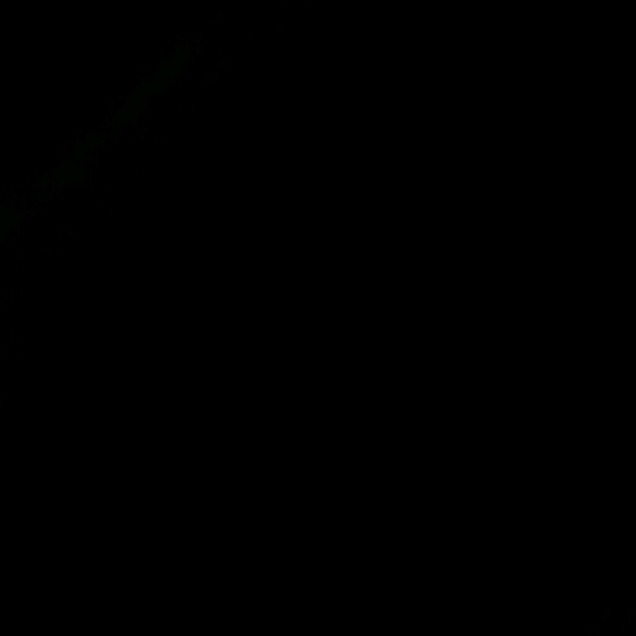 Profile Picture of Jack Robin (@jicklik) on Poshmark