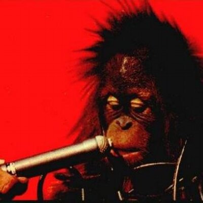 Profile Picture of Christopher Bales (@CrunchySquirrel) on Twitter