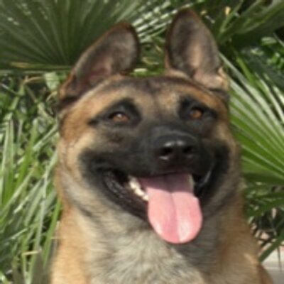 Profile Picture of Amos Wright (@wrightydr497) on Twitter