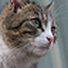 Profile Picture of Ian Dunne (@Ian Dunne) on Flickr