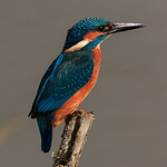 Profile Picture of Kevin Tudor (@ktudorphotography) on Flickr