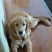Profile Picture of Chloe Piatt (@chloe.piatt.9) on Facebook