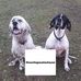 Profile Picture of Pierre Guss (@pierre.guesnier) on Facebook