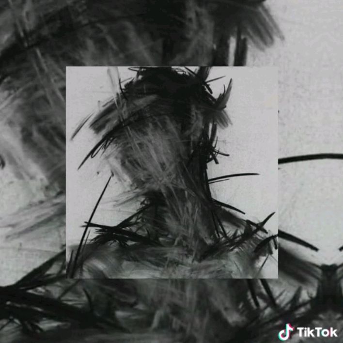 Profile Picture of William Chach (@william.chach) on Tiktok