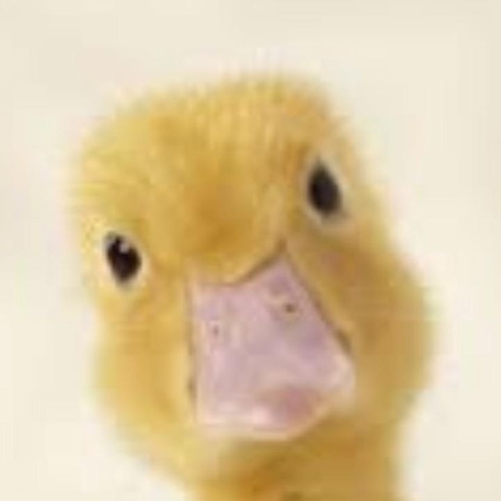 Profile Picture of Bryan (@bryandecker28) on Tiktok