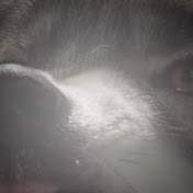 Tyler Vanwinkle - Youtube Profile Picture of Tyler Vanwinkle (@criscontreras1987) on Youtube