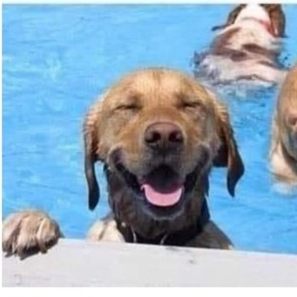 Profile Picture of Dusty Richardson (@dustball27) on Poshmark