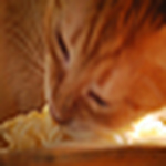 Profile Picture of Laura James* (@Laura James*) on Flickr