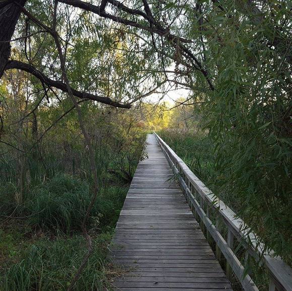 Jason Mckenzie - Poshmark Profile Picture of Jason Mckenzie (@rjason918) on Poshmark