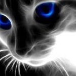 Profile Picture of Robert Tolfree (@clarifypso) on Instagram