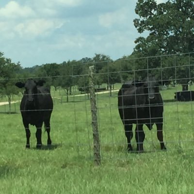 Damien - Twitter Profile Picture of Damien (@andrew46192478) on Twitter