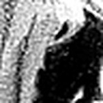 Profile Picture of Jerry JAckson (@Jerry Jack1) on Flickr