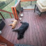 Profile Picture of Matthew Wambold (@wamboldm) on Instagram