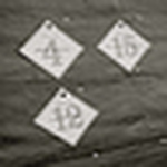 Profile Picture of Ashley Poskin (@ashleyposkinphoto) on Flickr