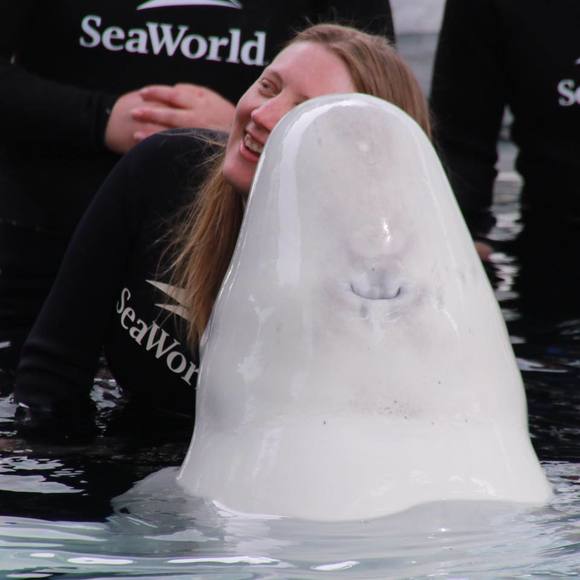 Profile Picture of Shara Krosby (@greatwhiteshara) on Poshmark