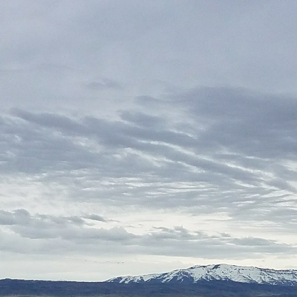 Profile Picture of May Wong (@maywong69) on Poshmark