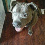 Profile Picture of amberlee hegemeyer (@amberlee_45) on Instagram