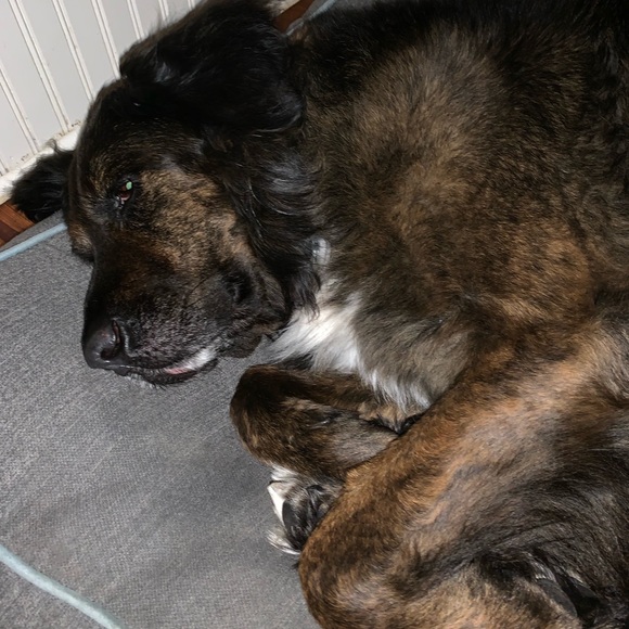 Profile Picture of Rhett Clark (@jrhettclark) on Poshmark