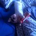 Profile Picture of David Prechtl (@davidp3804) on Pinterest