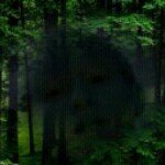 Profile Picture of Kevin Boose (@kevinboose) on Instagram