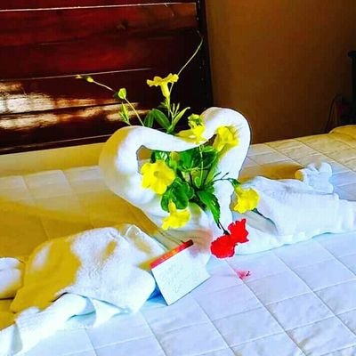 Profile Picture of Jose David .como (@JoseDavidcomo1) on Twitter