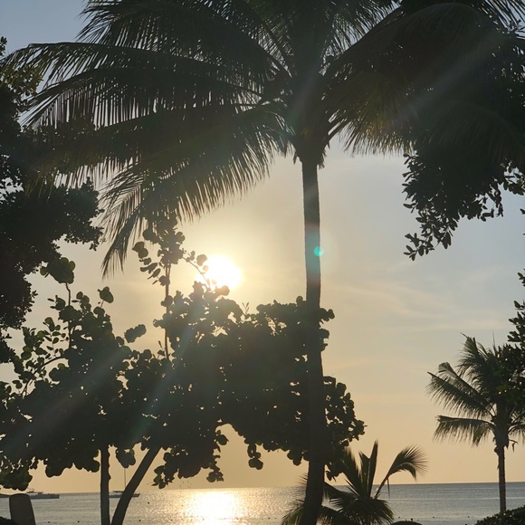 Profile Picture of Taylor Perreault (@taylorcoleen) on Poshmark