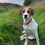 Profile Picture of Furniture sculpture woodwork (@williamself) on Instagram