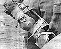 Profile Picture of Albert I (monkey)on Wikipedia