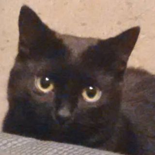 Profile Picture of Lucy Bundt (@Lucy-Bundt) on Facebook