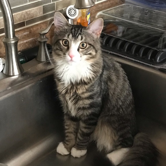 Profile Picture of Haley Dodier (@hdodier2192) on Poshmark