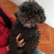 Profile Picture of Kenia Rojas ♥️ (@keniarojas2226) on Youtube