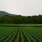 Profile Picture of Benjamin Abreu (@benjamin.abreu.71) on Instagram