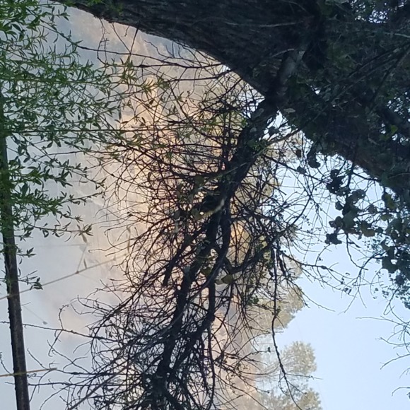 Profile Picture of Amy Tweedt (@amytweedt1) on Poshmark