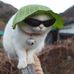 Profile Picture of Jackson Wilhelm (@jackson.wilhelm.75) on Facebook