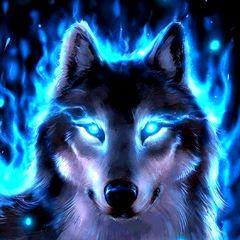 Profile Picture of Peter Faust (@@peterfaust2) on Tiktok