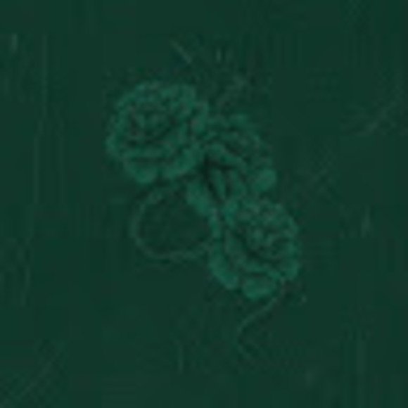 Profile Picture of Suraiya Barrat (@suri25) on Poshmark