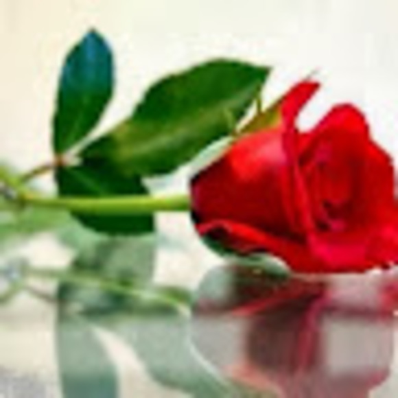 Profile Picture of Marcela Correa (@correamarcela02) on Poshmark