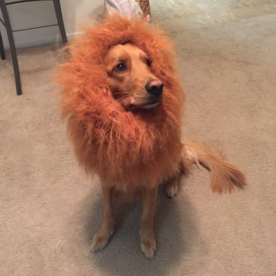 Profile Picture of Dustin B. Gillis (@gillis_dustin) on Twitter